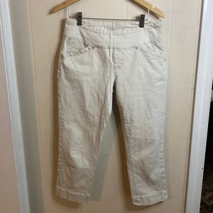 Jag Jeans Classic Fit Pants